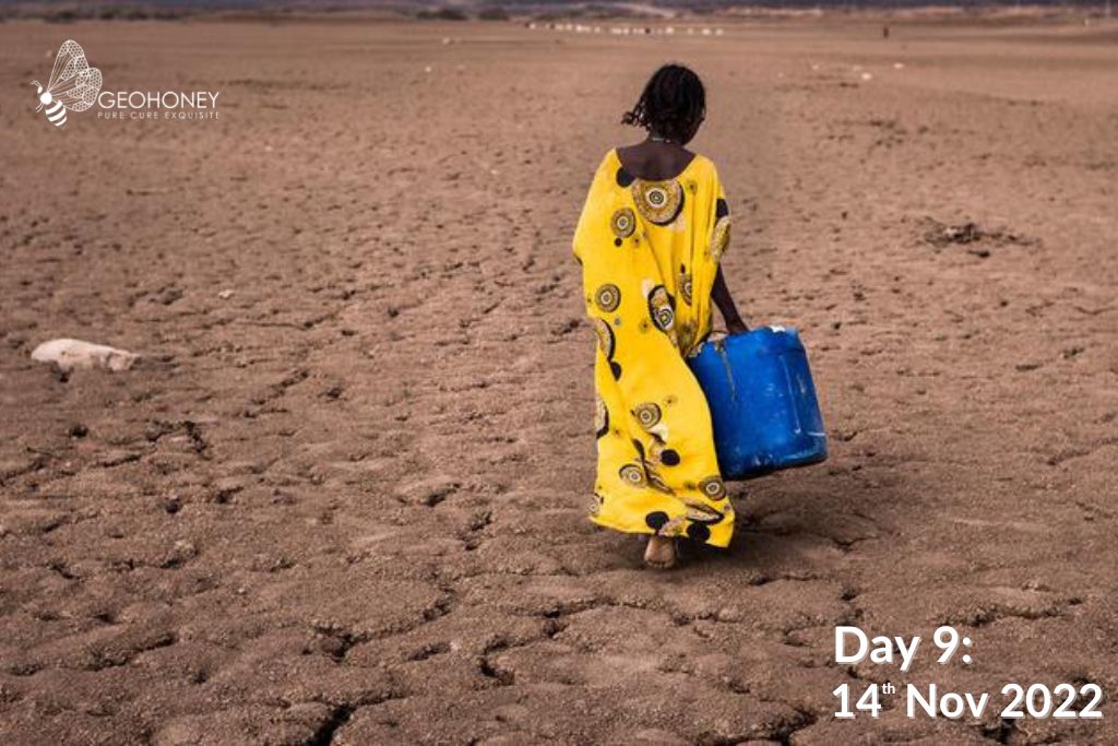 COP27 (14th Nov): Focus on women, water, loss & Damage